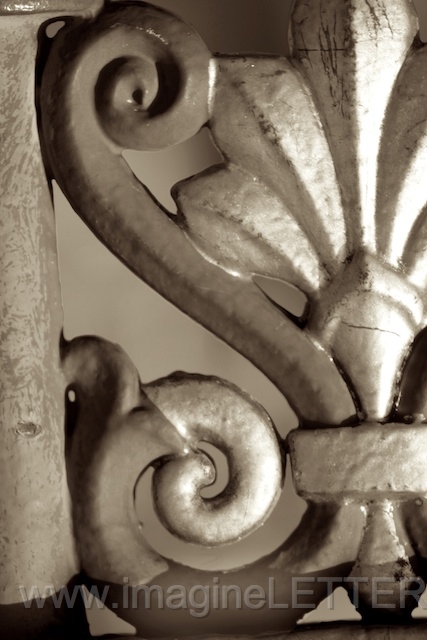 Wall_Art_Alphabet_Photography_Art_ 2023.jpg